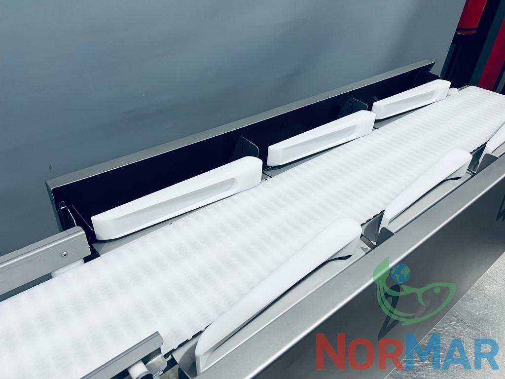 Marelec grader 6 station (3)