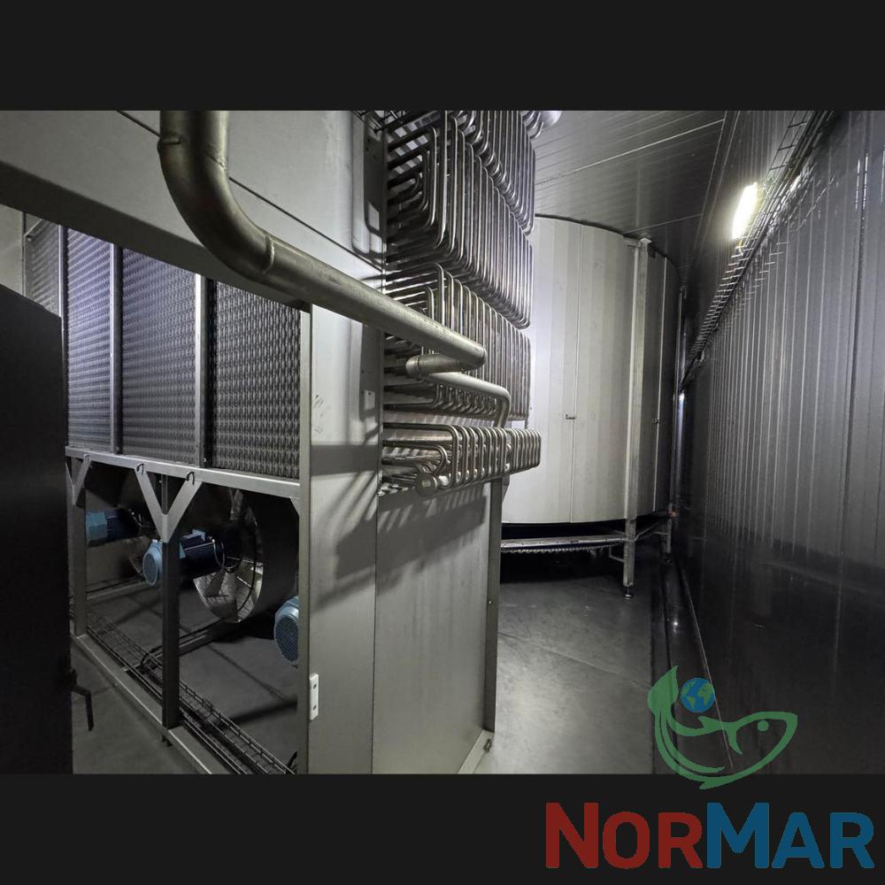 Scanico Freezer (13)