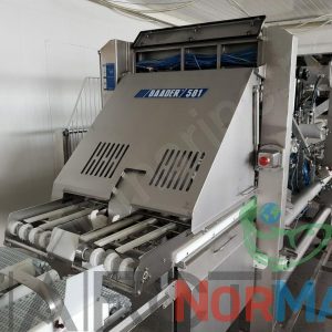 Máquina de Fileteado Baader 581