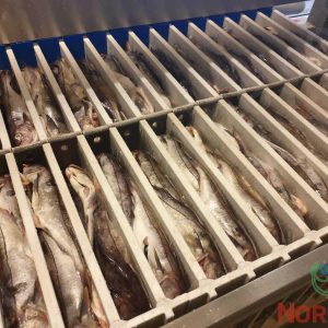 jackstone_vertical_plate_freezer_1_1